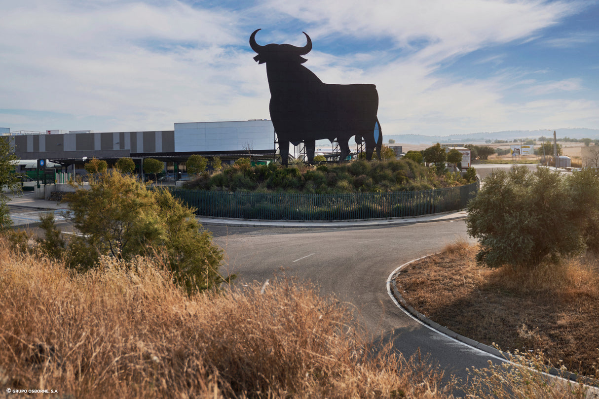 Valla del Toro Valdemoro - Madrid