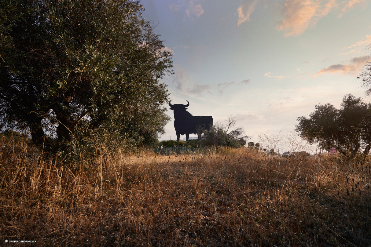 Valla del Toro Valdemoro - Madrid