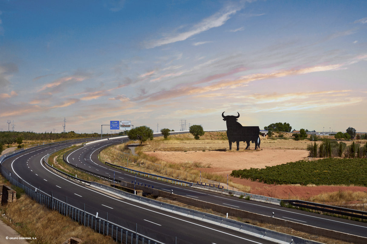Valla del Toro Manzanares - Ciudad Real