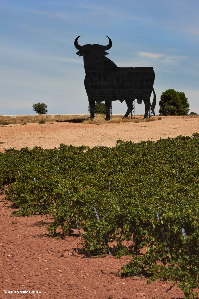 Valla del Toro Manzanares - Ciudad Real