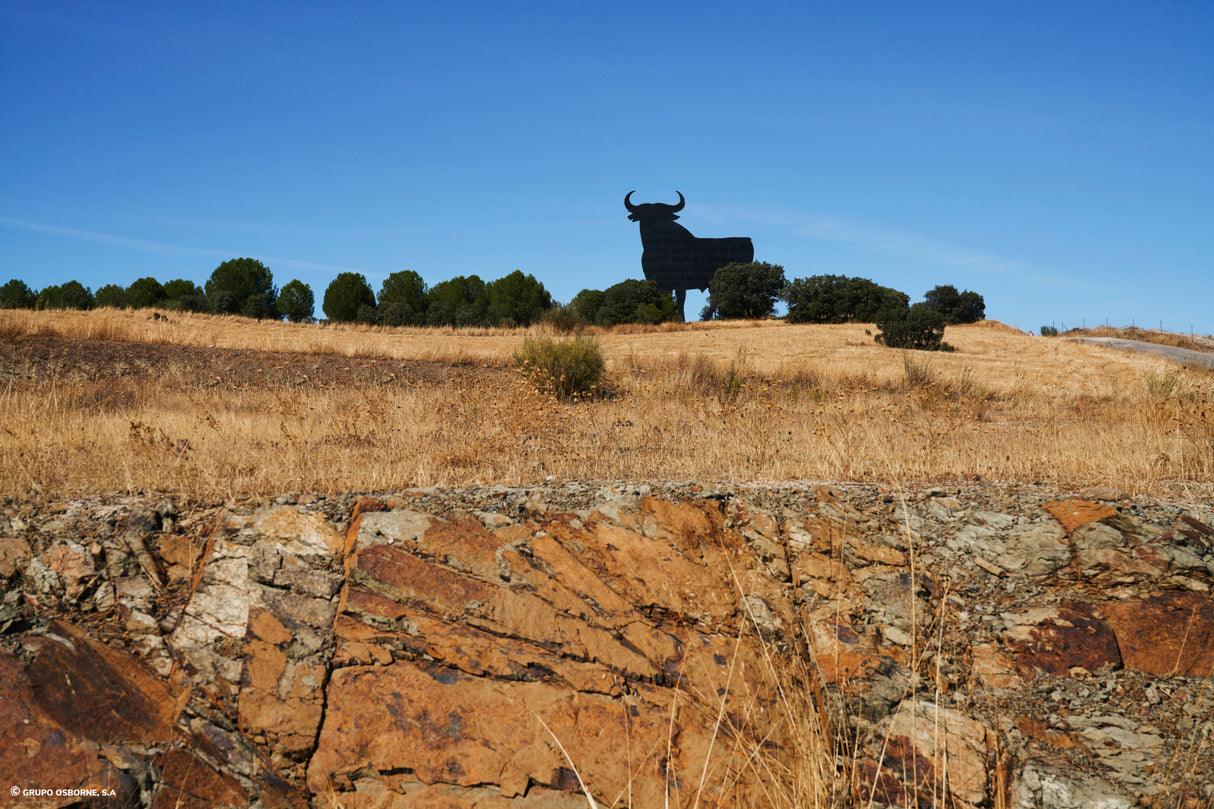 Valla del Toro Almuradiel - Ciudad Real
