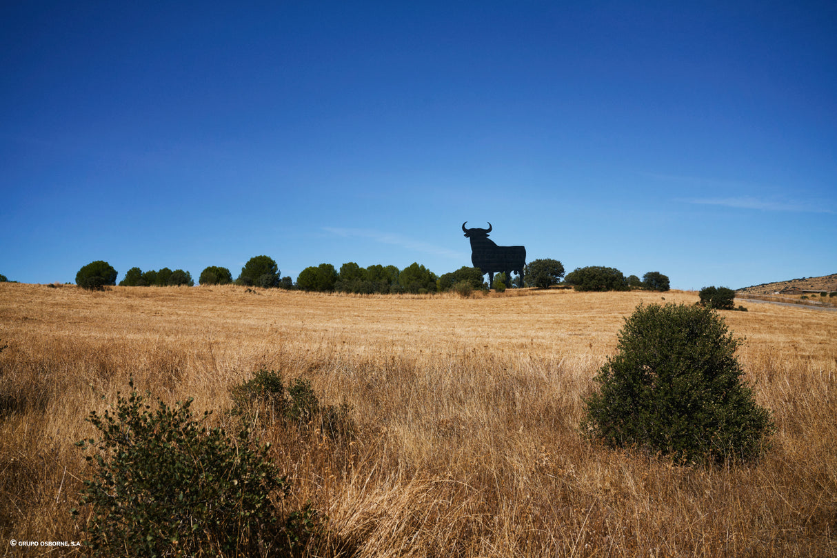 Valla del Toro Almuradiel - Ciudad Real