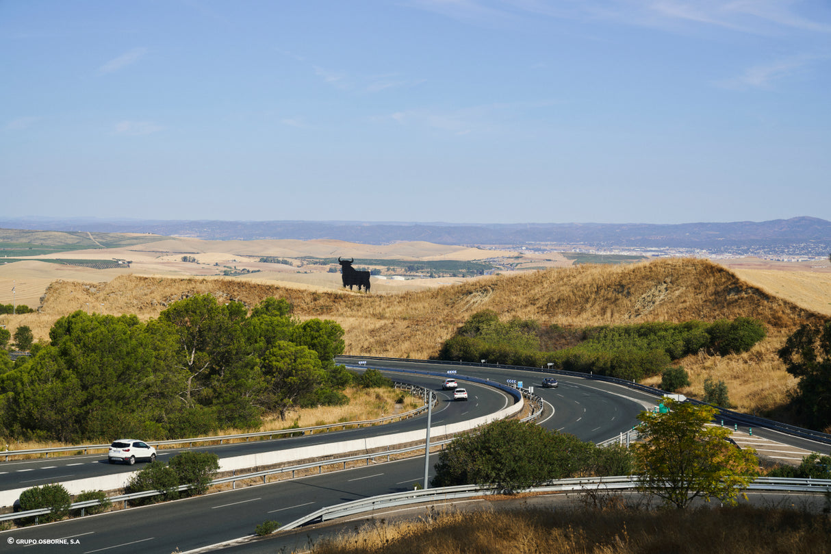 Valla del Toro Cuesta El Espino - Córdoba
