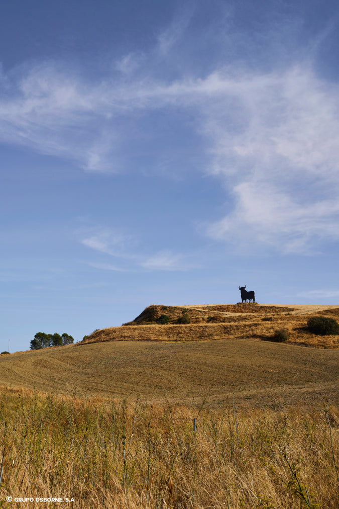 Valla del Toro Cuesta El Espino - Córdoba