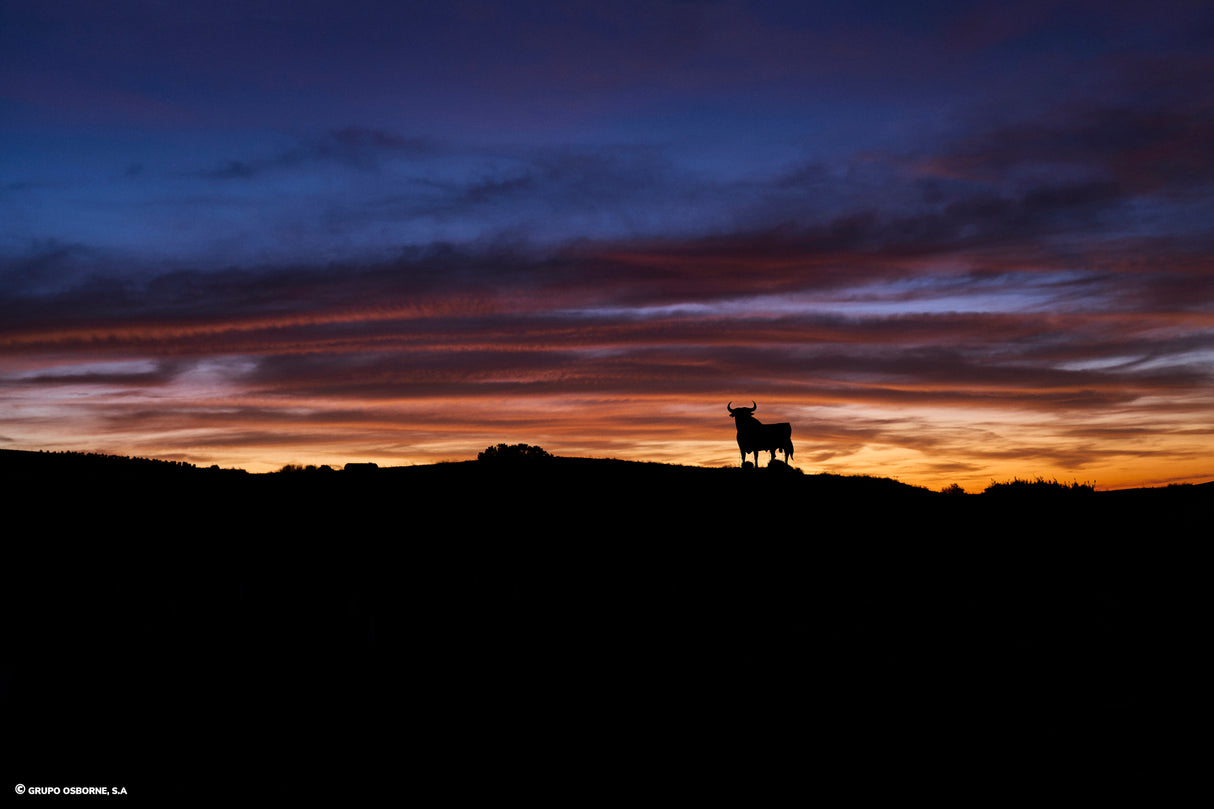 Valla del Toro Cabezas de San Juan – Sevilla