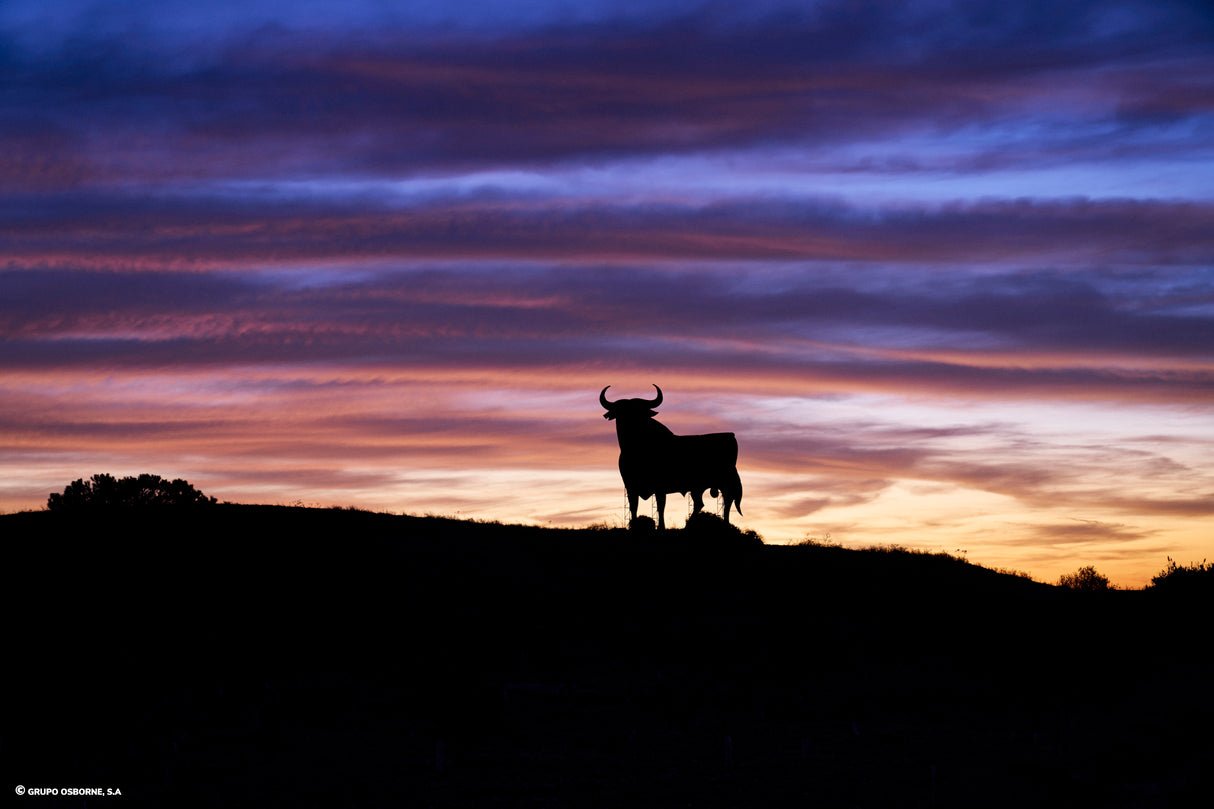 Valla del Toro Cabezas de San Juan – Sevilla