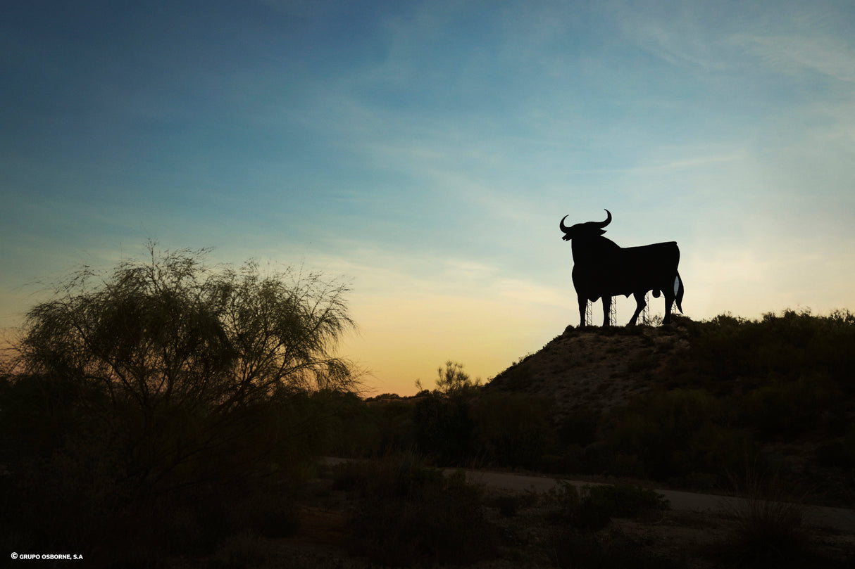 Valla del Toro El Puerto de Santa María – Cádiz