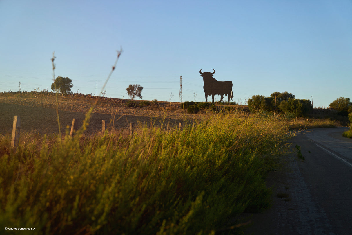 Valla del Toro El Puerto de Santa María – Cádiz