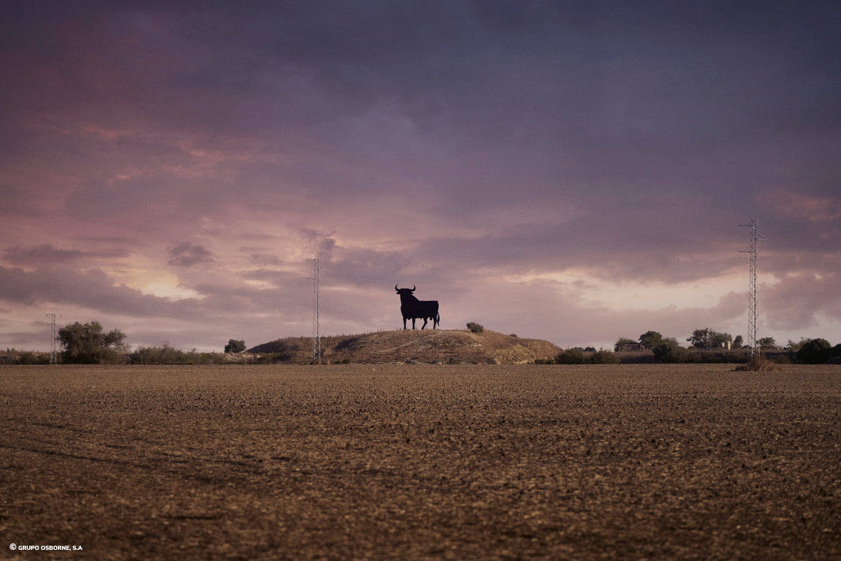Valla del Toro Jerez de la Frontera – Cádiz