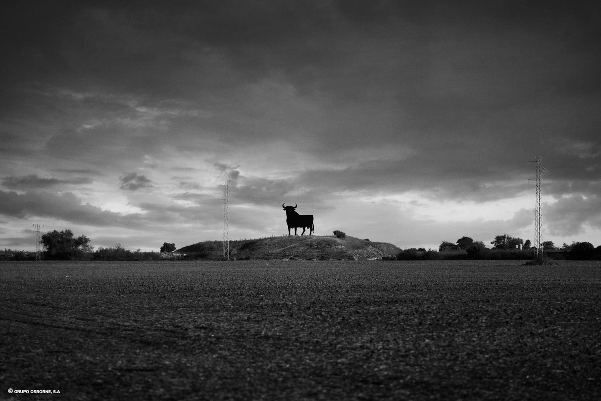 Valla del Toro Jerez de la Frontera – Cádiz