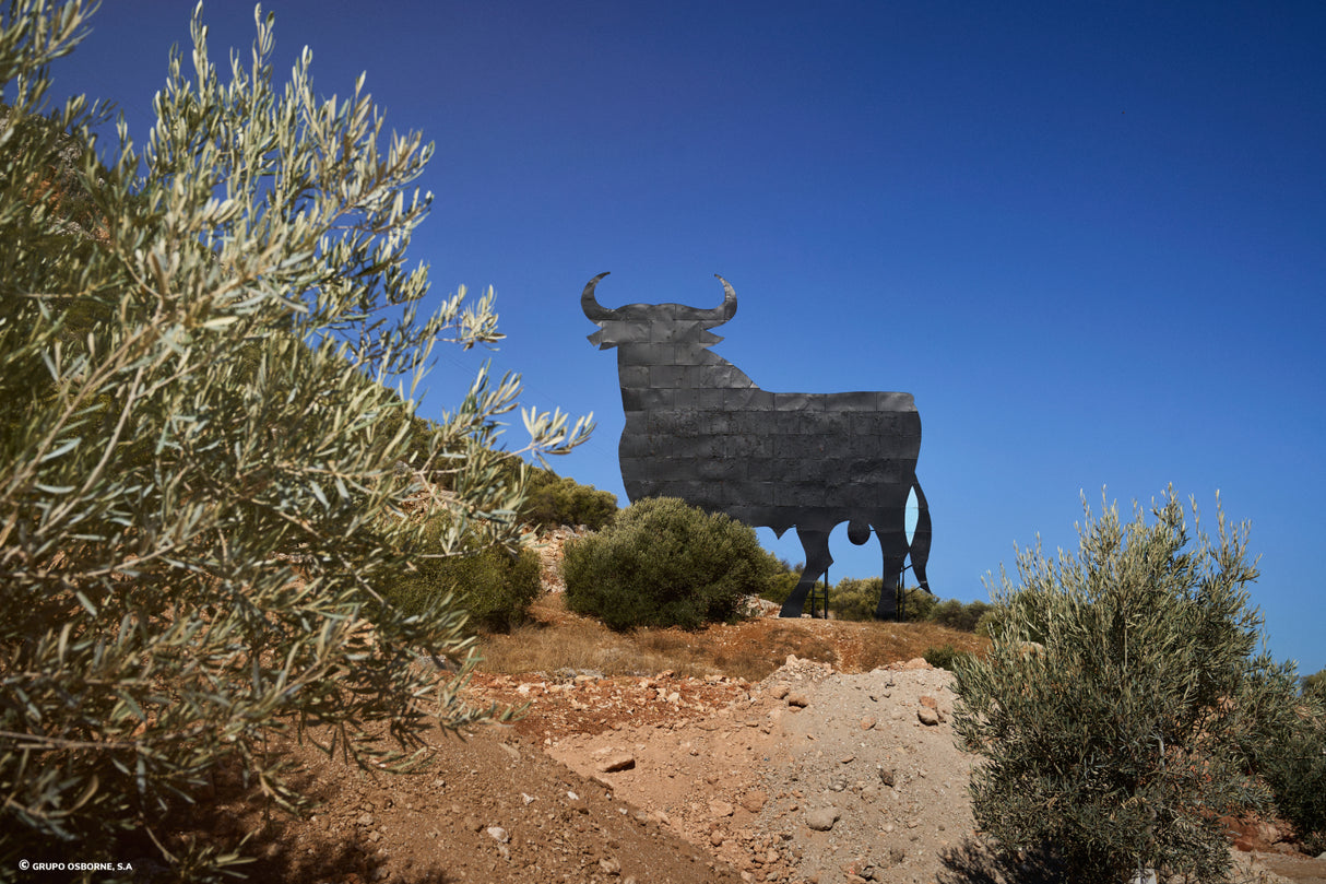 Valla del Toro Lora de Estepa - Sevilla
