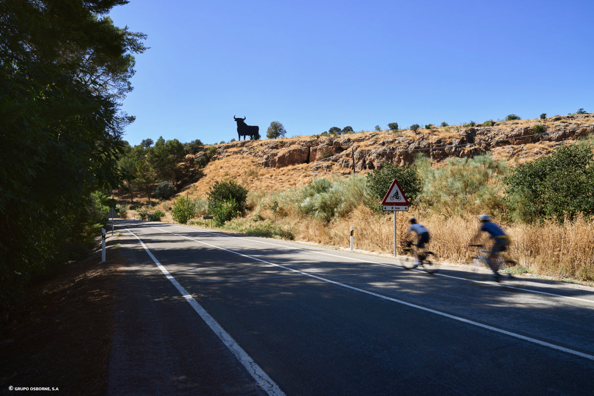 Valla del Toro Albolote - Granada