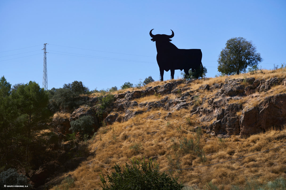 Valla del Toro Albolote - Granada