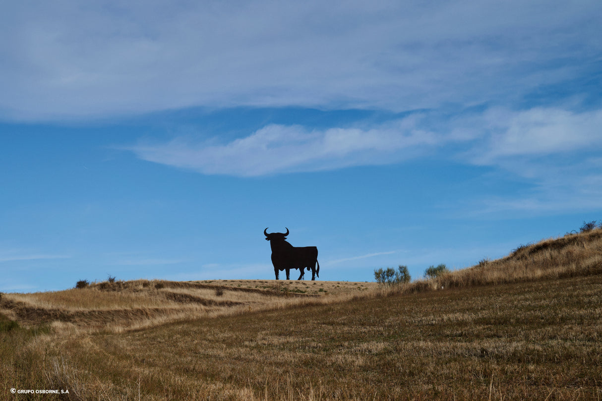 Valla del Toro Labajos - Segovia
