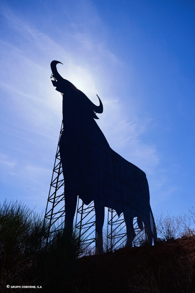 Valla del Toro Honrubia - Cuenca