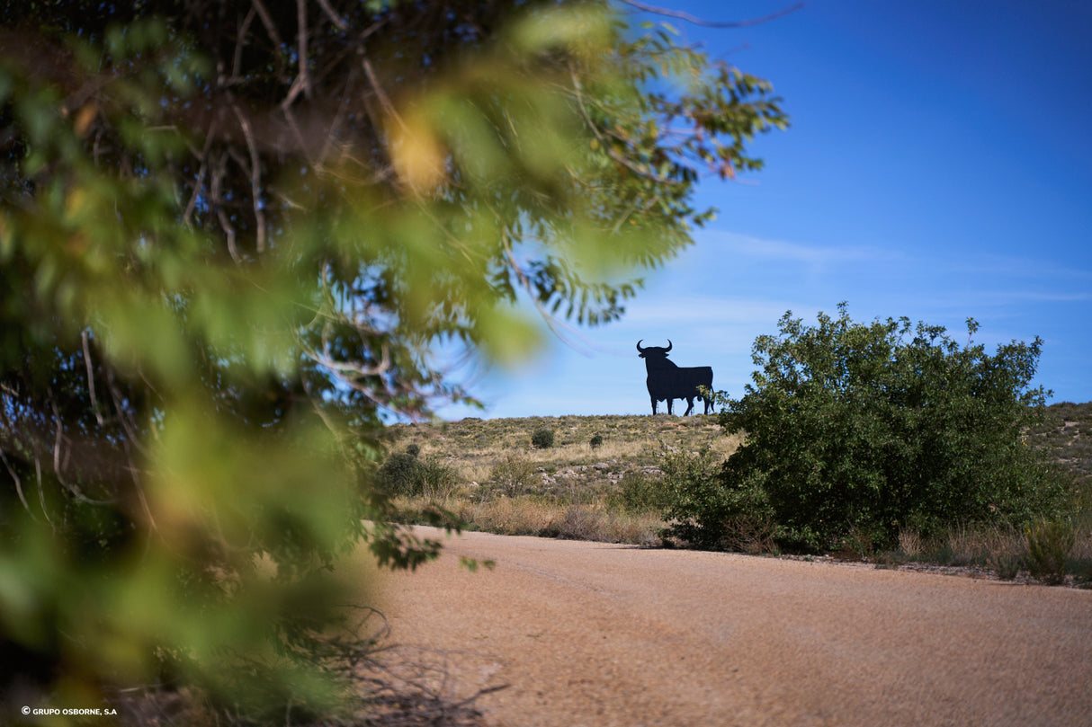 Valla del Toro Castillejo de Iniesta - Cuenca