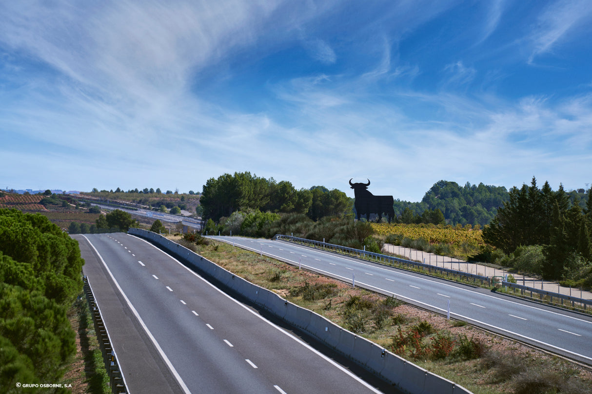 Valla del Toro Requena - Valencia