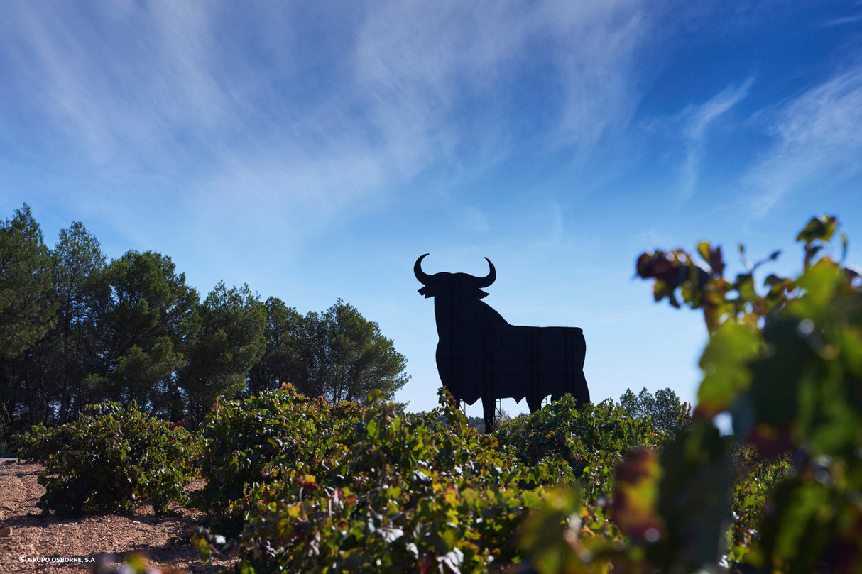 Valla del Toro Requena - Valencia
