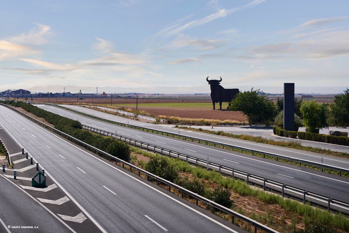 Valla del Toro La Gineta - Albacete