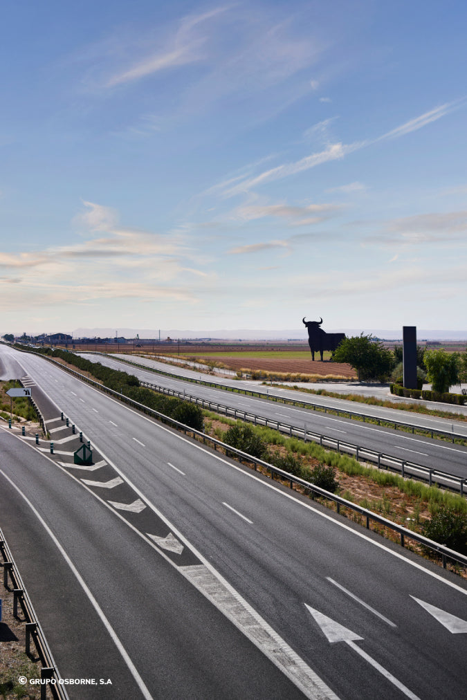 Valla del Toro La Gineta - Albacete