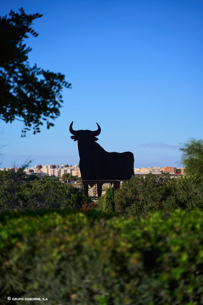 Valla del Toro El Campello - Alicante