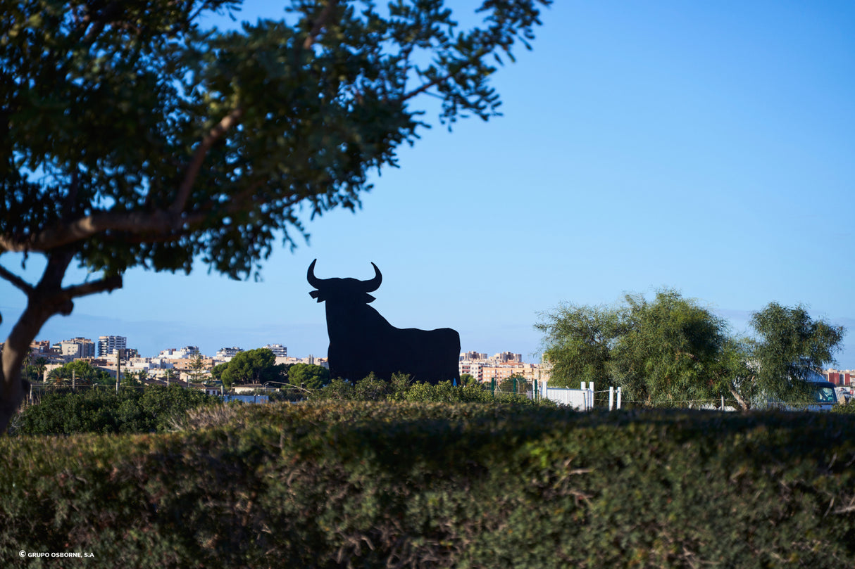 Valla del Toro El Campello - Alicante