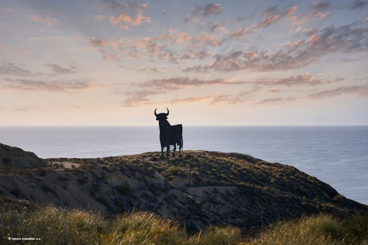 Valla del Toro Villajoyosa - Alicante