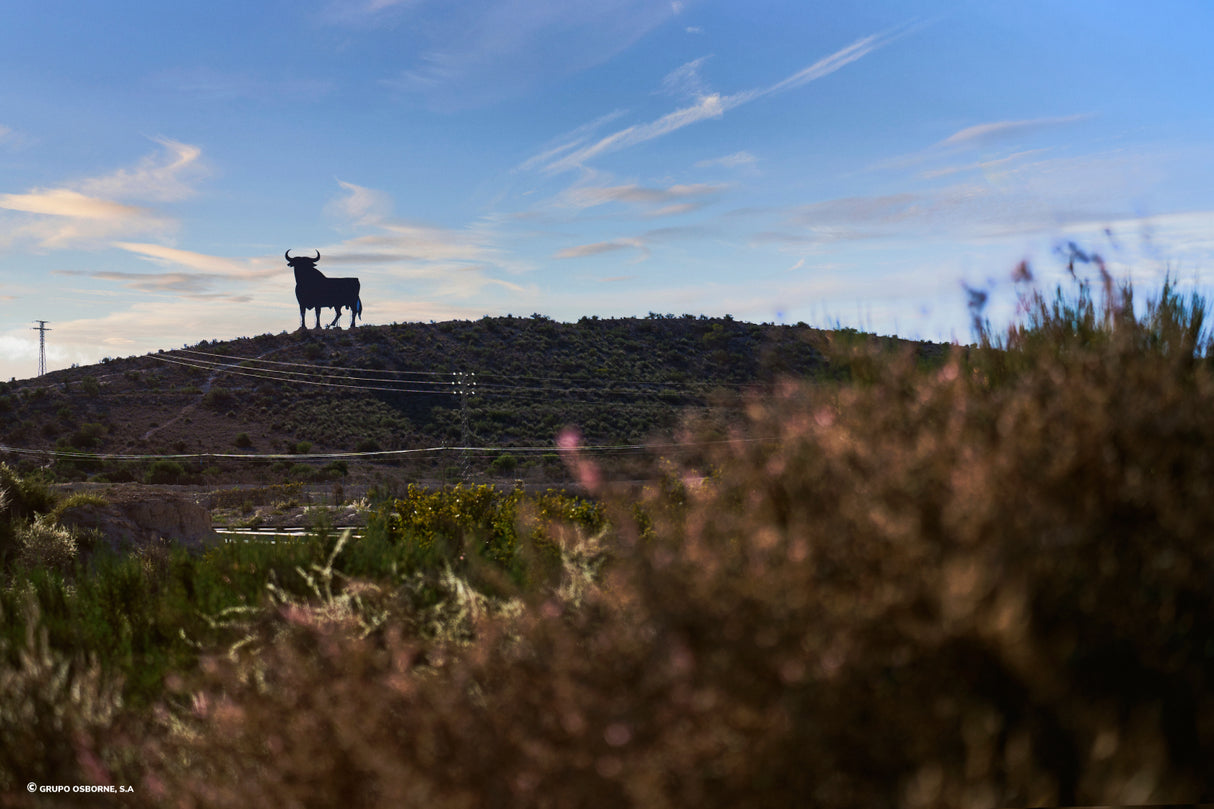 Valla del Toro Monforte del Cid - Alicante