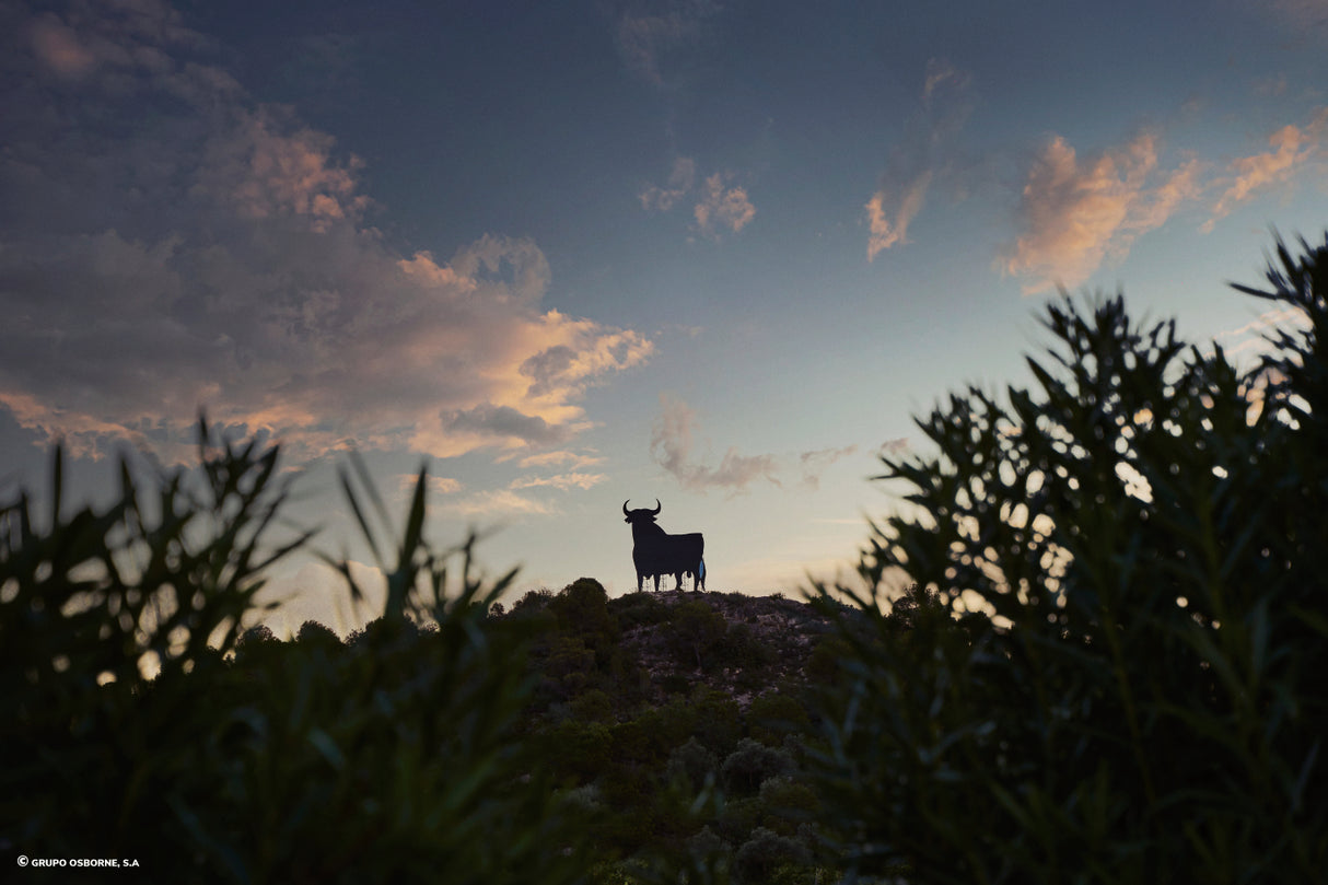 Valla del Toro Tavernes de Valldigna - Valencia
