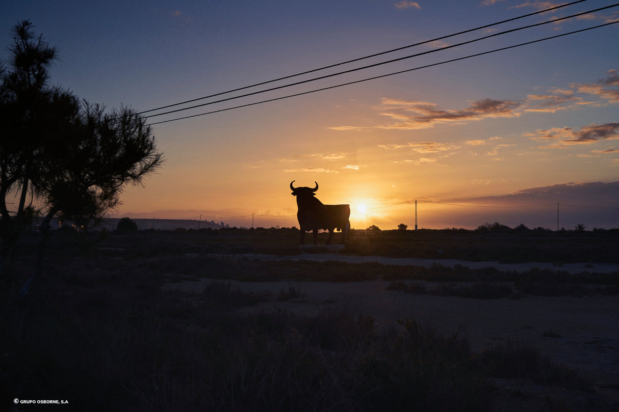 Valla del Toro Santa Pola - Alicante