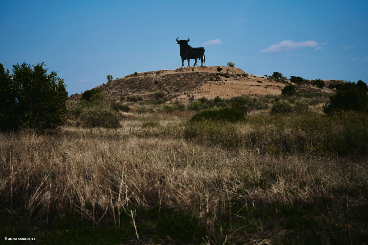 Valla del Toro Guadalajara – Guadalajara