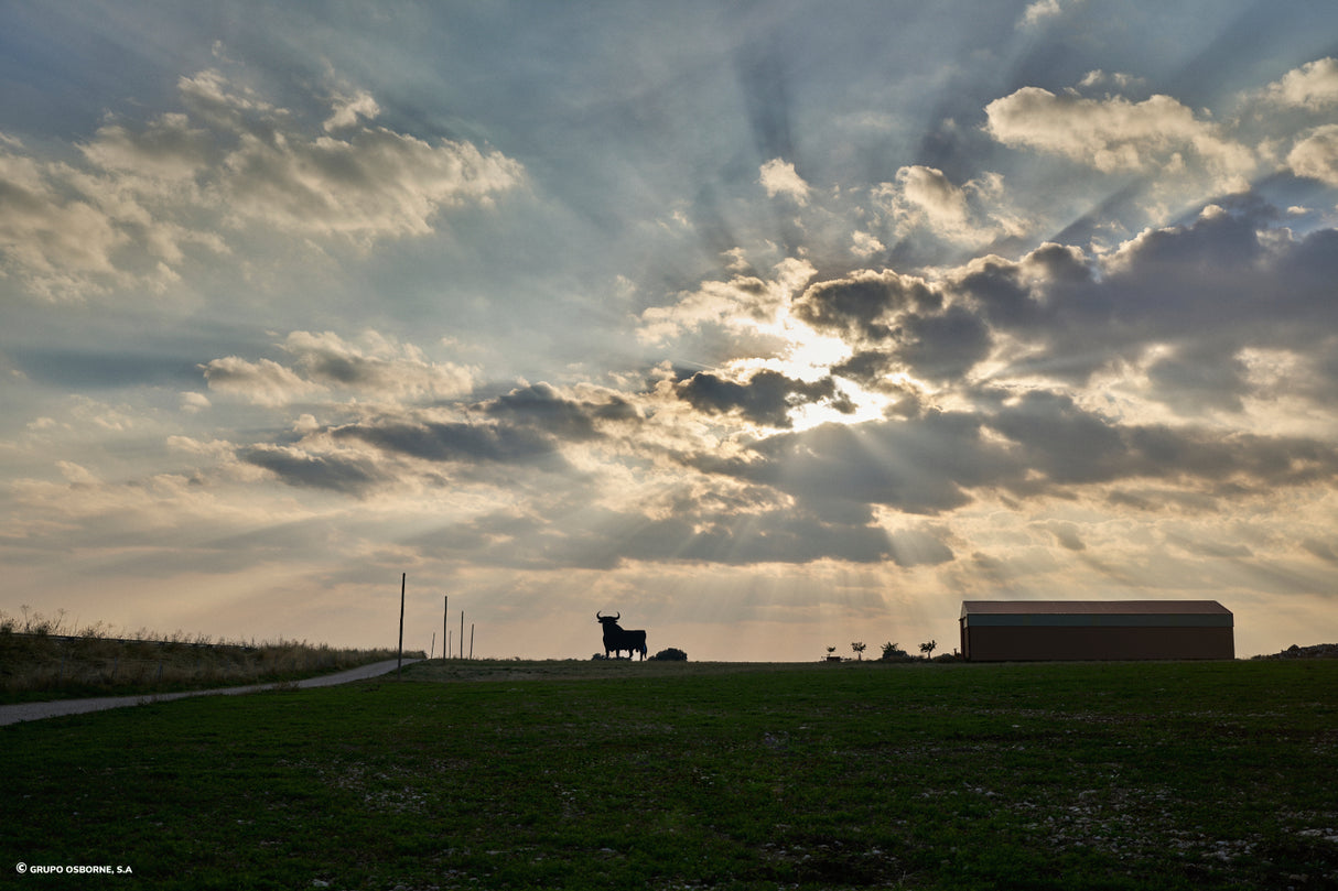 Valla del Toro Gajanejos - Guadalajara