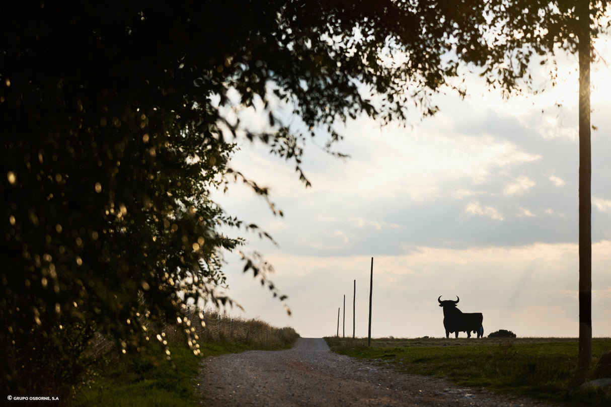 Valla del Toro Gajanejos - Guadalajara
