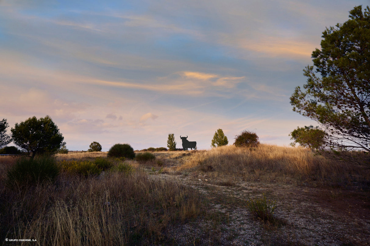 Valla del Toro Torremocha del Campo - Guadalajara