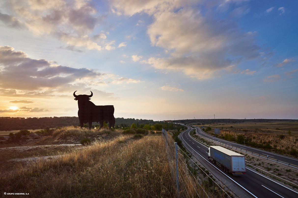 Valla del Toro Torremocha del Campo - Guadalajara