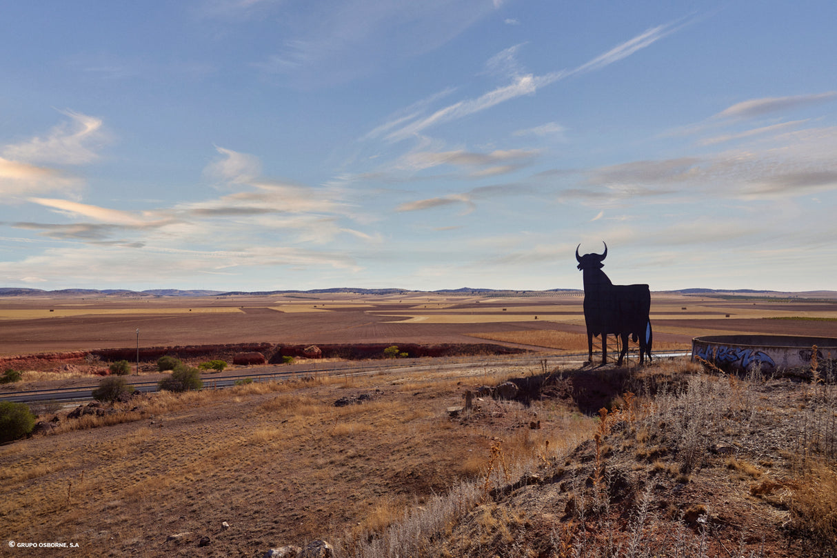 Valla del Toro Tembleque - Toledo