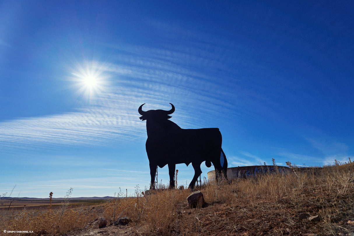 Valla del Toro Tembleque - Toledo