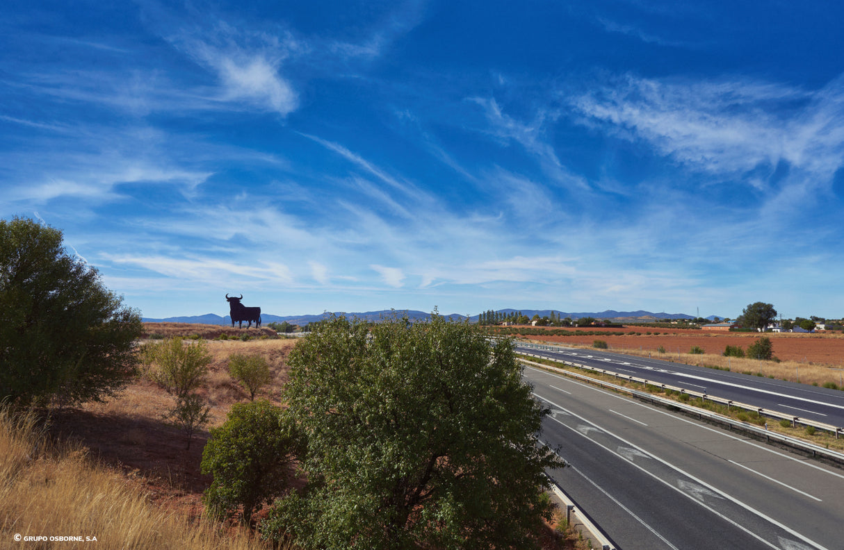 Valla del Toro Madridejos - Toledo