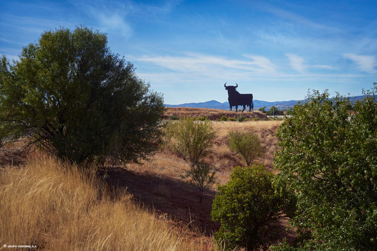 Valla del Toro Madridejos - Toledo