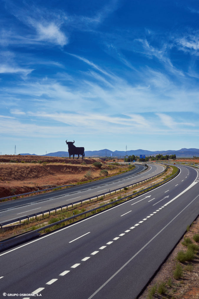 Valla del Toro Madridejos - Toledo