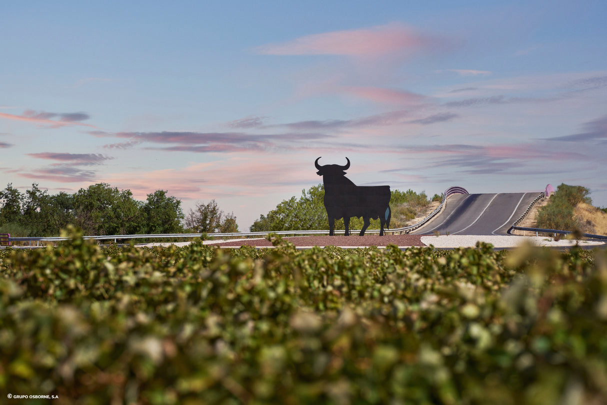 Valla del Toro Tomelloso - Ciudad Real