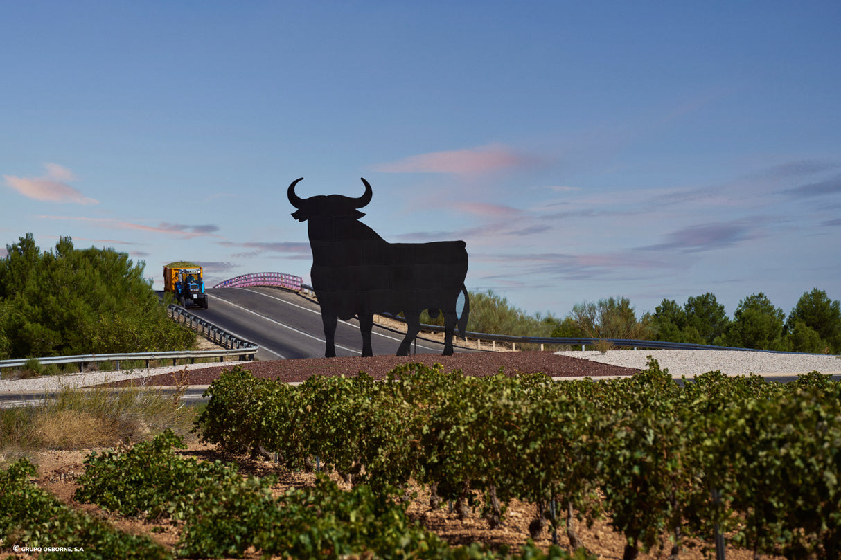 Valla del Toro Tomelloso - Ciudad Real