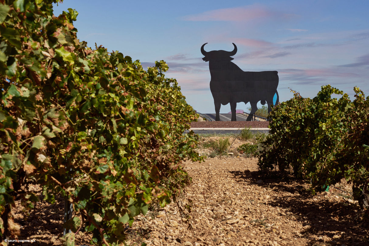 Valla del Toro Tomelloso - Ciudad Real