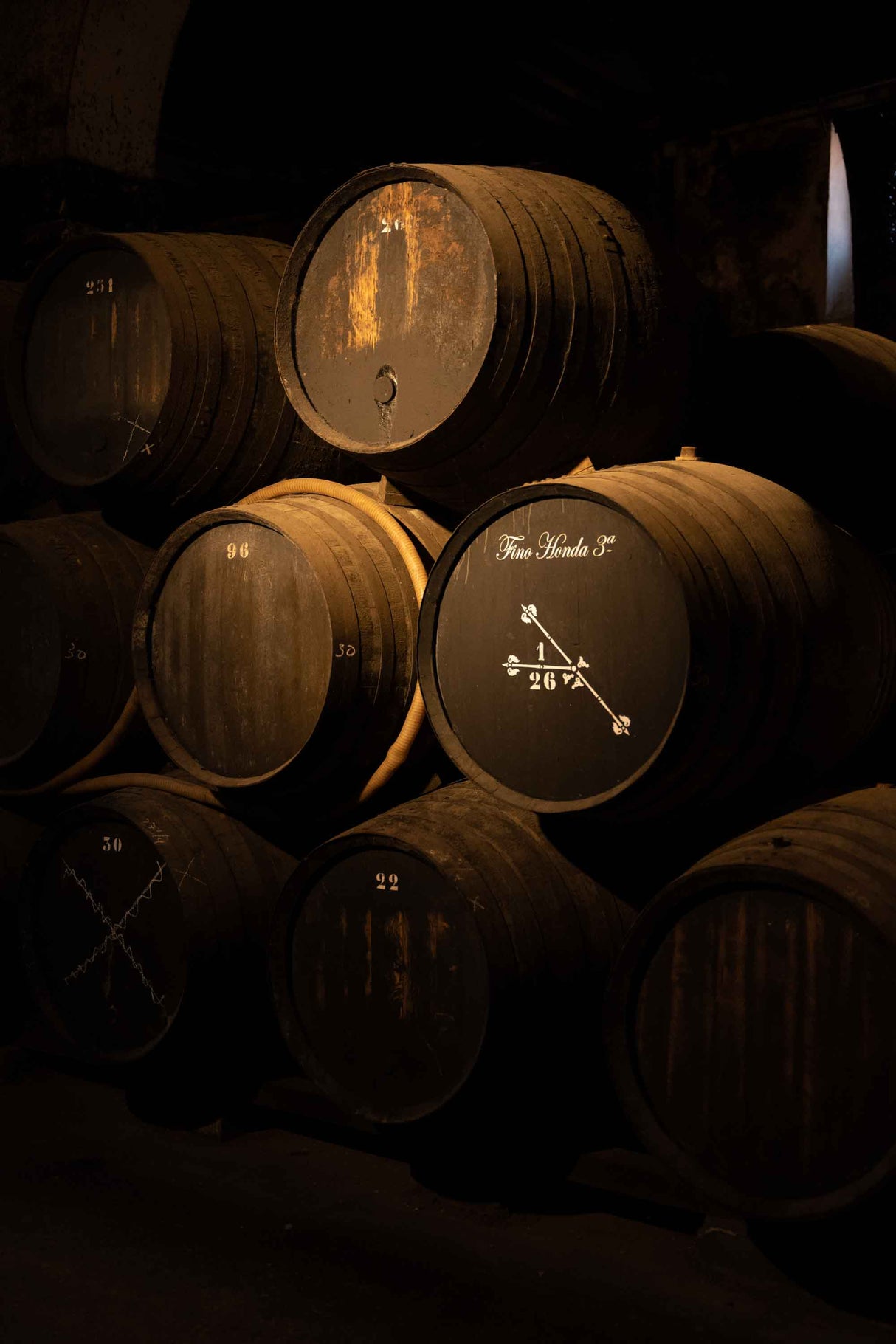 CATA EN RAMA: Visita y cata en Bodega