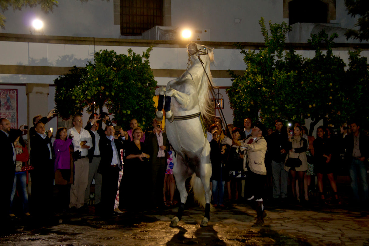 ATARDECER ECUESTRE EN LA BODEGA: Visita y espectáculo ecuestre