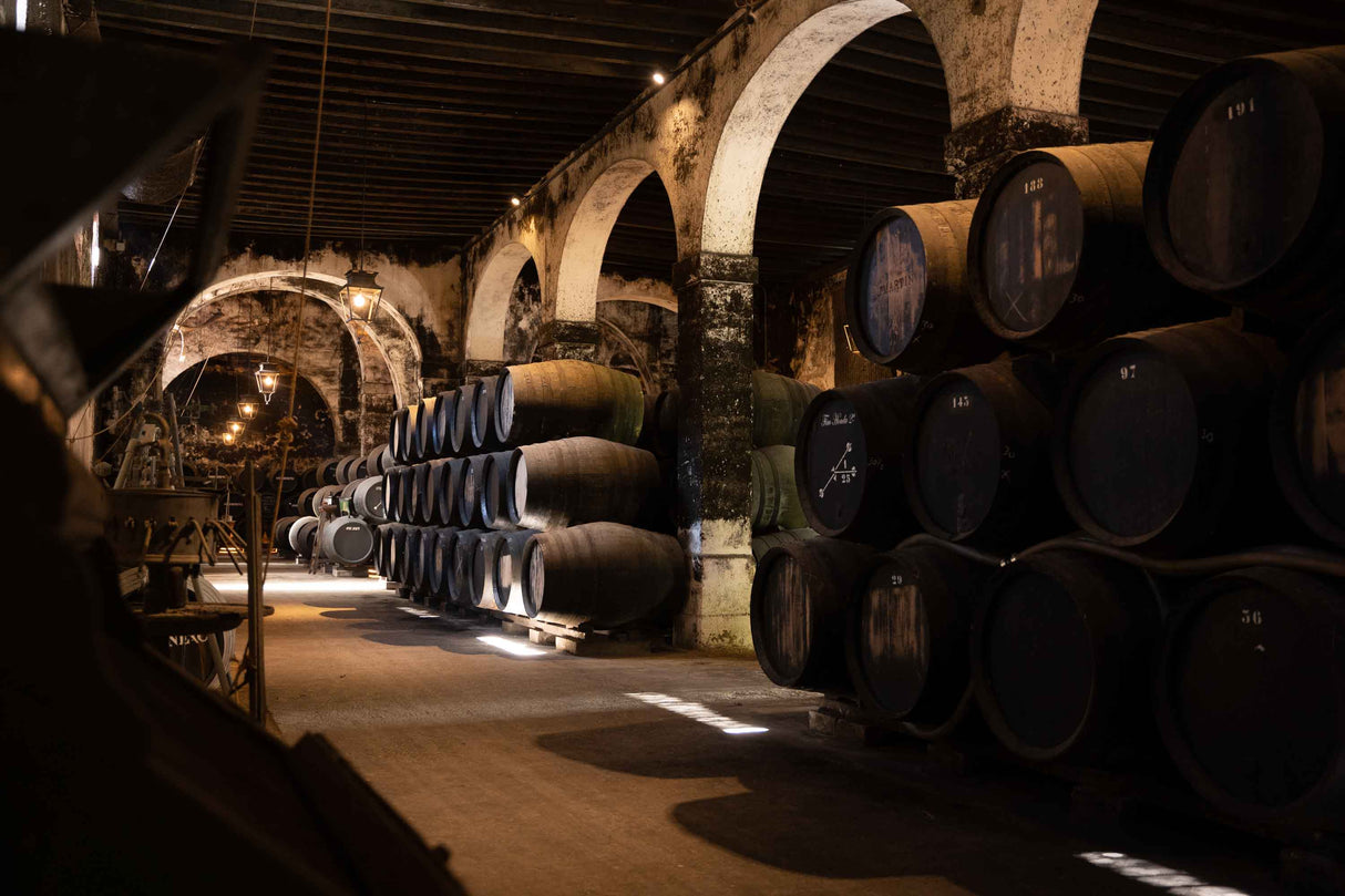 ENTRE SOLERAS Y TACONES: Visita a Bodega y espectáculo flamenco