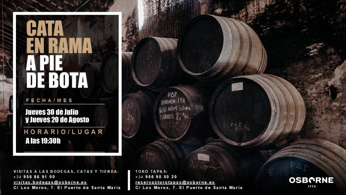CATA EN RAMA: Visita y cata en Bodega