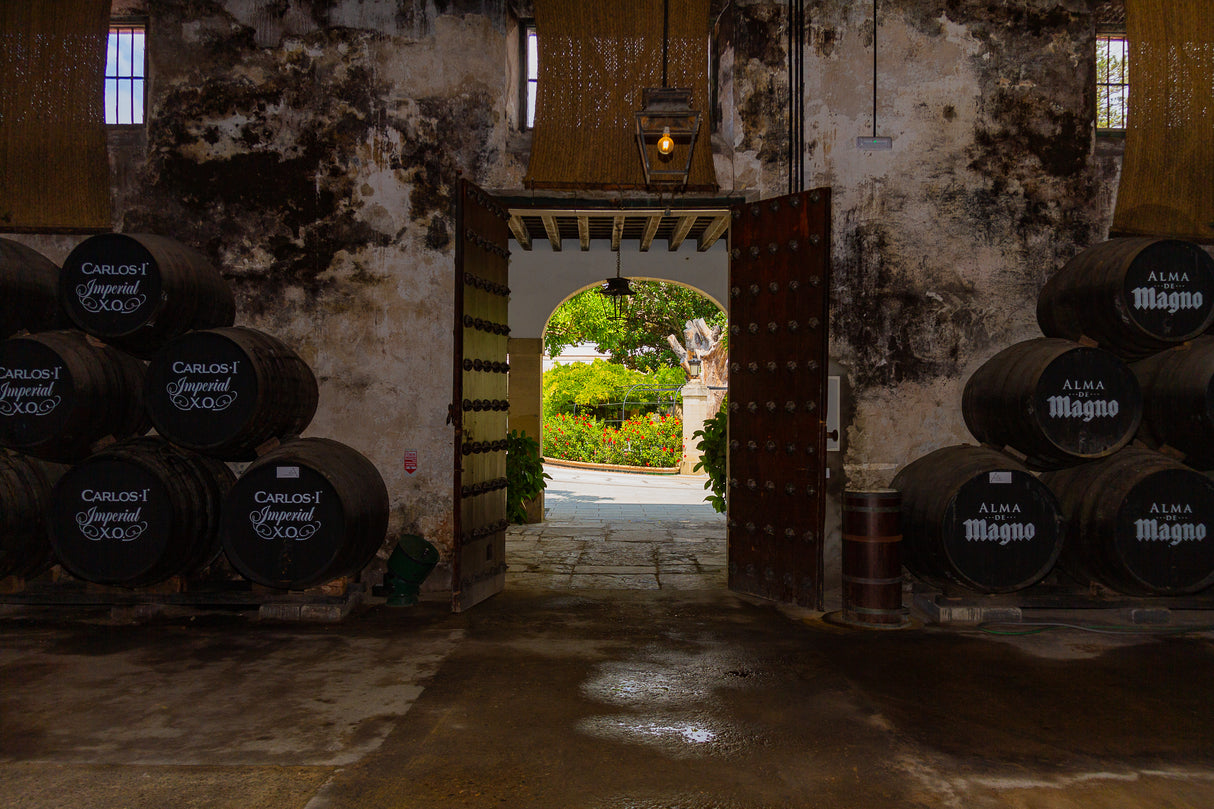 ATARDECER ECUESTRE EN LA BODEGA: Visita y espectáculo ecuestre