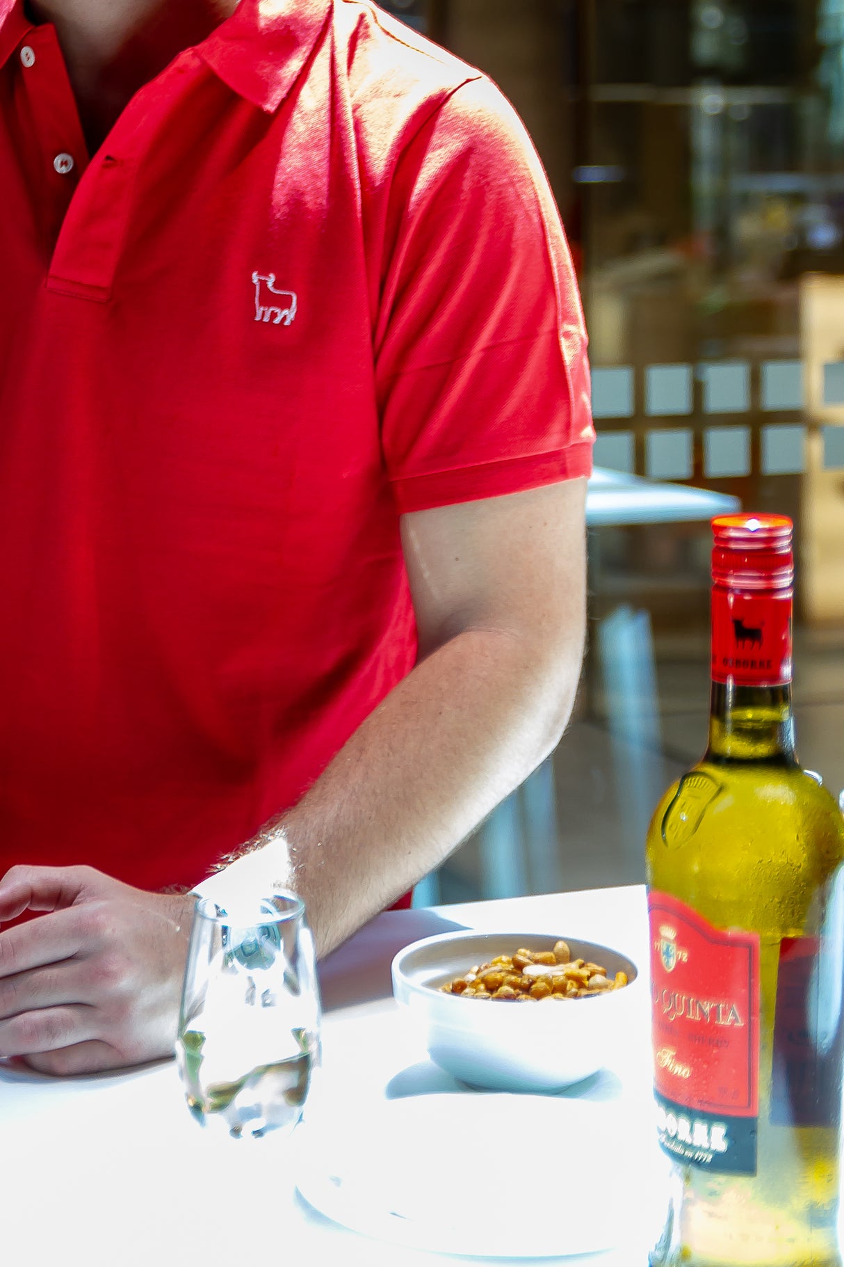 ATARDECER ECUESTRE EN LA BODEGA: Visita y espectáculo ecuestre